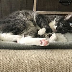 Meet your Posher, Crystal